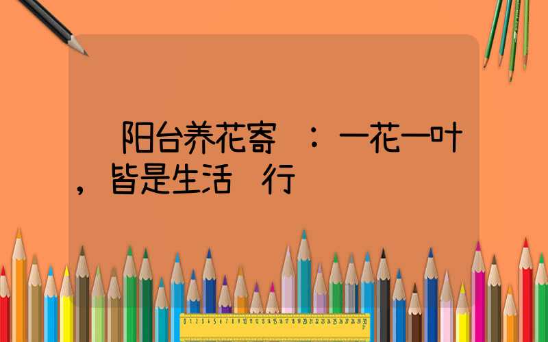 阳台养花寄语:一花一叶,皆是生活诗行